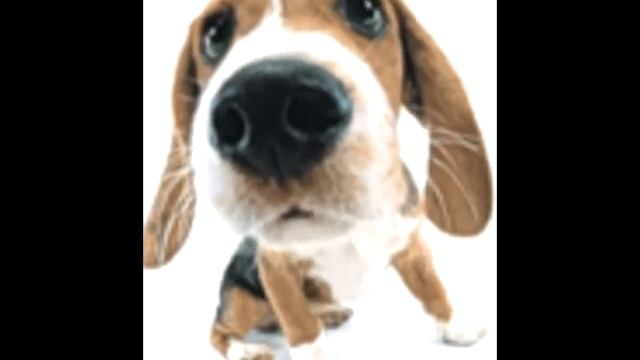 VLOG НЕ БРОСАЙТЕ РОДИТЕЛЕЙ СВОИХ!!!МОЙ СОБСТВЕННЫЙ СТИХ смотреть онлайн