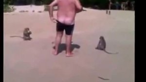Жесть! Обезьяна раздели деда
