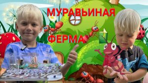 МУРАВЬИНАЯ ФЕРМА МАЙНКРАФТ