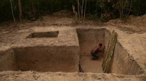 Жизнь в дикой природе.