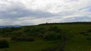 Природа Алтая. Предгорье, зелёные луга.