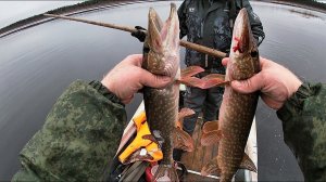 ВСТРЕЧА ДВУХ КАНАЛОВ \ РЫБАЛКА ПО МУЖСКИ \ Часть 2 \ РЫБАЛКА НА СЕТИ \ ОКУНЬ НА ПОПЛАВОК В ОКТЯБРЕ