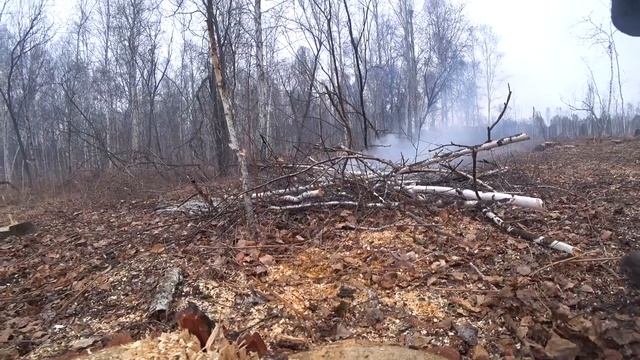 Без этого в лесу никак нельзя. Заготовка дров в деревне. смотреть онлайн