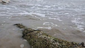 рыбалка проверил вентер Каспийское море в Азербайджане