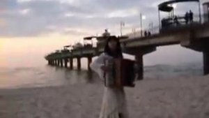 WIESŁAWA DUDKOWIAK  - ACCORDION (mix video )