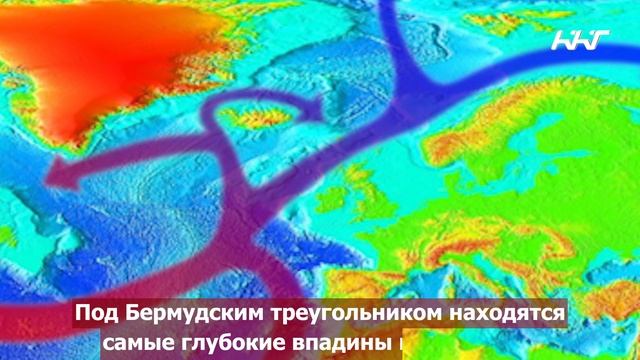 Гольфстрим изменил. Течение Гольфстрим Бермудский треугольник. Гольфстрим отвернулся от Европы. Гольфстрим красивые картинки. Гольфстрим беда Европы.