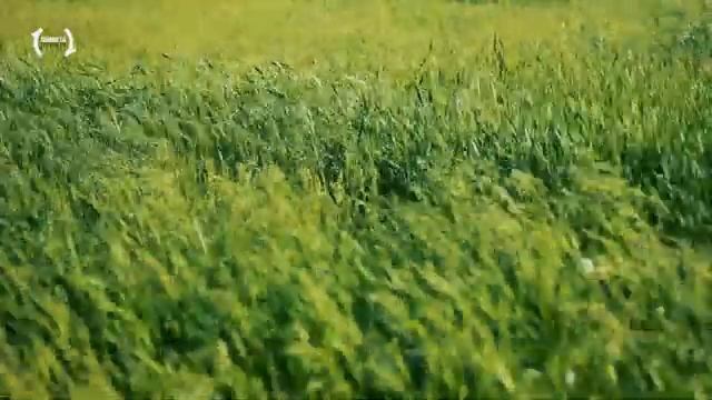 Релакс — Летать во сне: Музыка для сна и полёта во сне. Успокоение души и Расслабление [FullHD] смотреть онлайн