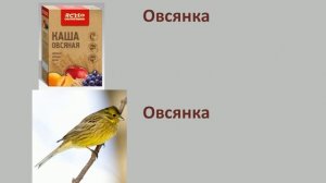Слова, одинаковые по звучанию и написанию, но разные по значению 2 класс