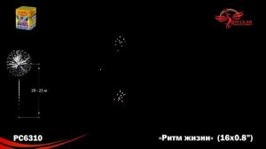 Фейерверк Ритм жизни (0,8"х16) РС6310