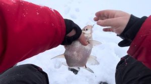 Яузское Водохранилище !!! ДР бати на льду ! Ловля судака и леща. Савино 2024 #рыбалка2024