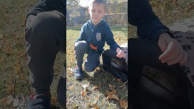#мейкун