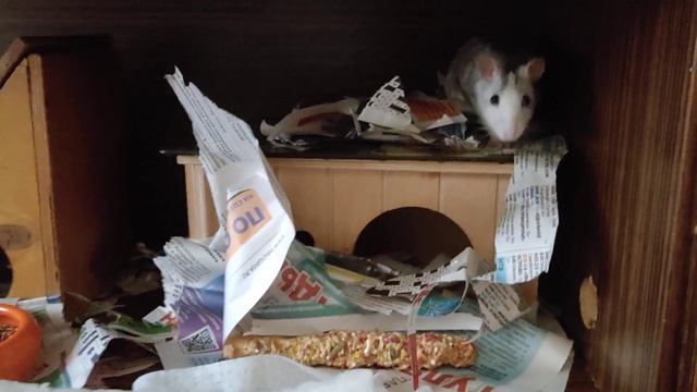 Мы все на Земле такие разные! смотреть онлайн