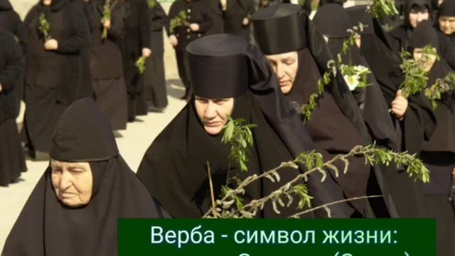 Верба - символ жизни: слово схиархимандрита Зосимы (Сокур) смотреть онлайн