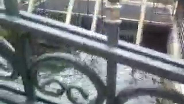 Святой источник Святого Великомученика и целителя Пантелеимона в Каложицах Волосовского района