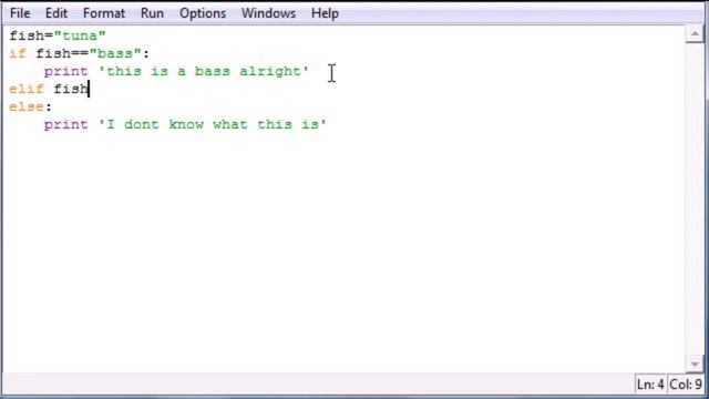 Day 21 else and elif Python Programming