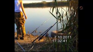 река КИРПИЛИ. Рыбалка на донки с макушатником насадка кукуруза. Ловил карася, карпа. Fishing