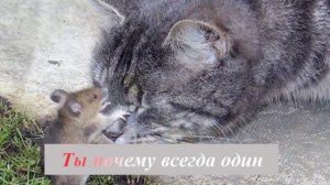 Колыбельная Караоке