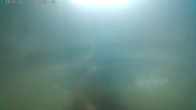 Абхазия.каньон хашупсы,вроде бы день 6 смотреть онлайн