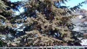 Набережные Челны.