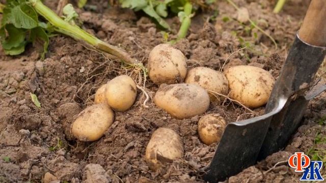 - Ты никчёмная! - кричала СВЕКРОВЬ мне - От тебя толку, как от козла молока! И что в тебе сын нашёл смотреть онлайн