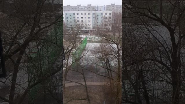 25 марта. В Подмосковье снег еще до конца не растаял