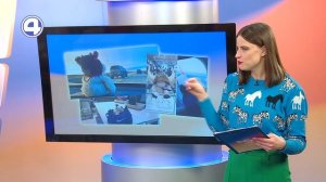 Необычный сувенир: игрушка-путешественница. Нарочно не придумаешь | Утренний Экспресс