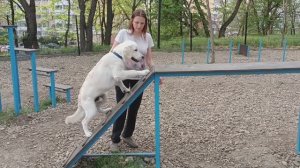 Нортону 6 месяцев