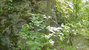 Степная река Кундрючья