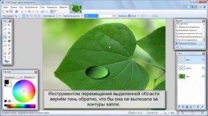 КАПЛЯ РОСЫ НА ЛИСТЕ В РAINT.NET