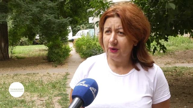 Зоозащитники Южного оказывают помощь бездомным животным