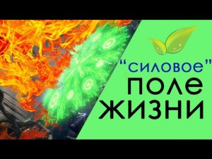 Защита от стрел | Тесты Магии | Тесты Total War: Warhammer