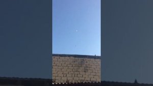 САМАРКАНДСКИЕ БОЙНЫЕ ГОЛУБИ ЧАСТЬ 6