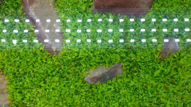 Китайская Куба знакомьтесь :))) смотреть онлайн