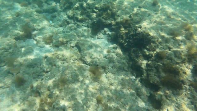 GRECJA RODOS - PLAŻA KOLYMBIA BEACH - SNORKELING PŁYWANIE Z MASKĄ I RURKĄ - WAKACJE 2021 смотреть онлайн