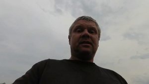 Посев классического подсолнечника без культивации.Размышления.