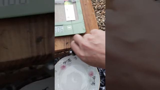 Ну наконец то я попробовала этот смешной томат Сладкий крем.Обзор сорта. смотреть онлайн