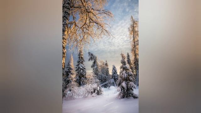 Маме не хватило одного кусочка хлеба #историяизжизни #хлеб #хлебнашнасущный