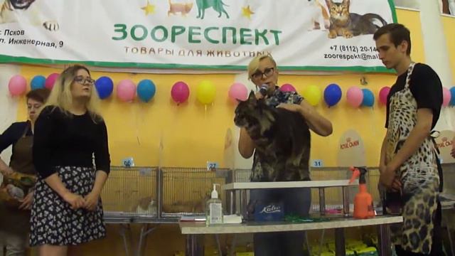 Выставка 20 августа 2017 г. Псков смотреть онлайн