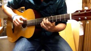 Hohner HW 200