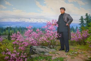 МОЙ ОПЫТ ПОКУПКИ ЗЕМЛИ НА АЛТАЕ