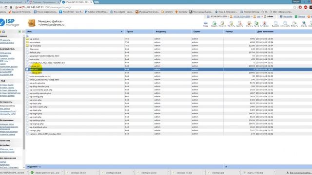 Как узнать абсолютный путь к папке или файлу сайта на хостинге смотреть онлайн