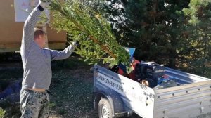 Щепорез щу-450, Draxter