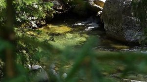 Славянская Музыка которая пробуждает - Дары Волхвов - славянские гусли