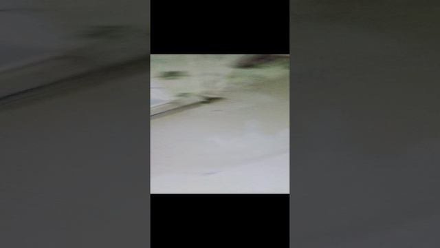 咋花园货财源里