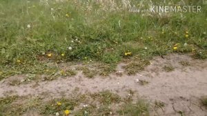 Вызов Бена Утопленника