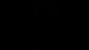 БАРАХОЕВ ИСА