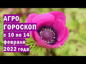 Агрогороскоп с 10 по 14 февраля 2022 года