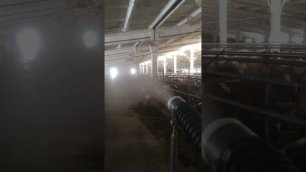 IGEBA UNIPRO 5 обработка методом холодного тумана в присутствии животных