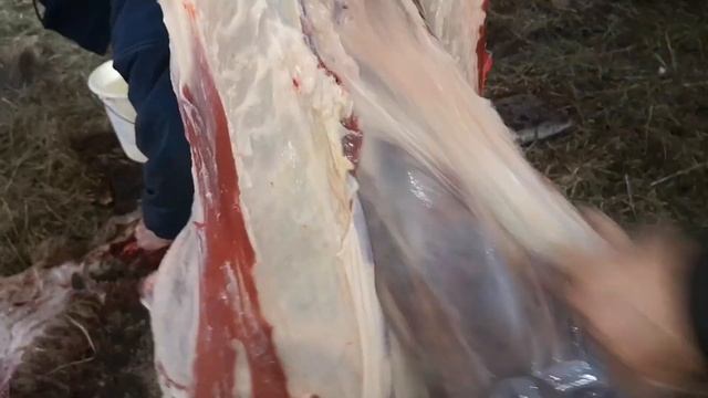 Разделка туши овцы , сколько мяса получилось смотреть онлайн