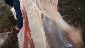 Разделка туши овцы , сколько мяса получилось